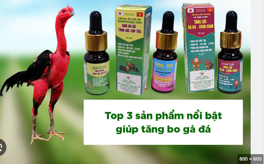 Gwin Bật Mí Cách Chọn Thuốc Bổ Sung Cho Gà Đá – Kê Sư Nên Biết