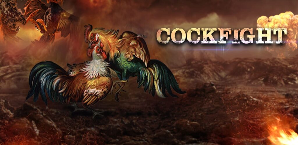 Các loại gà đá hiện có tại S128