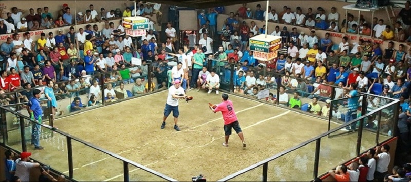 Tìm Hiểu Về Trường Gà Cựa Dao S128